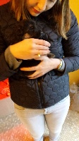 CHIOT